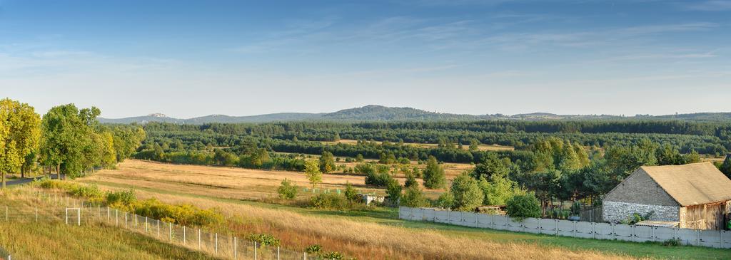 Jurajska Stokrotka Kotowice Exteriér fotografie